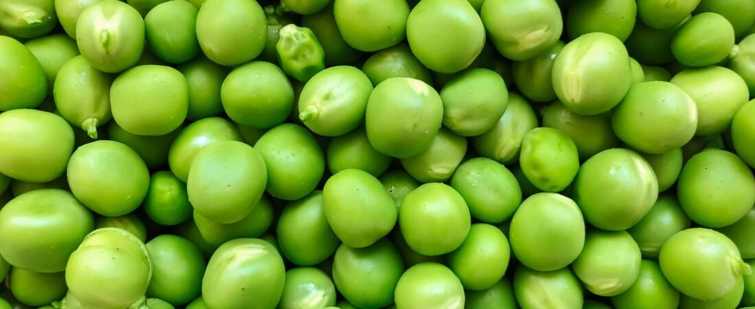 Qué sembrar en otoño e invierno: Tu huerto no tiene por qué morir en noviembre