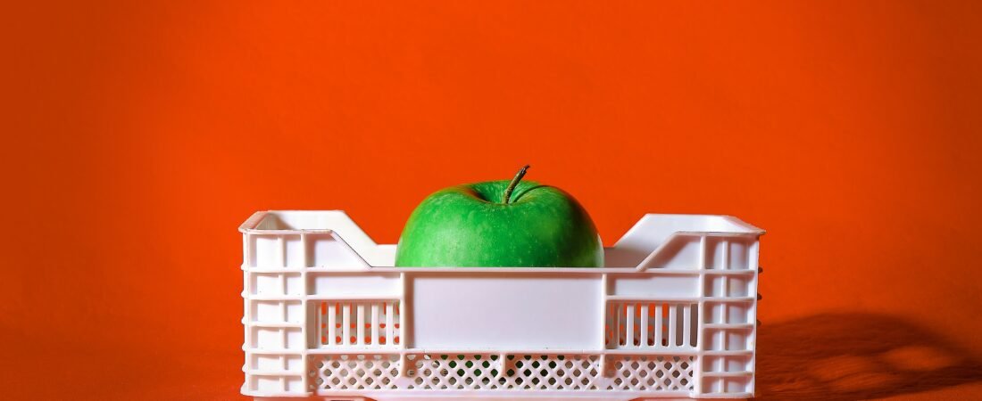 Huerto «Low Cost»: Cómo reciclar cajas de fruta y palets de forma segura