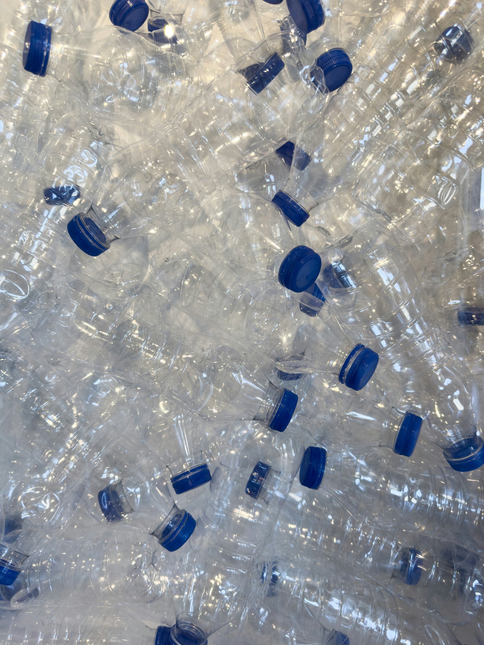 Crea un mini-invernadero para tus semillas usando botellas de plástico