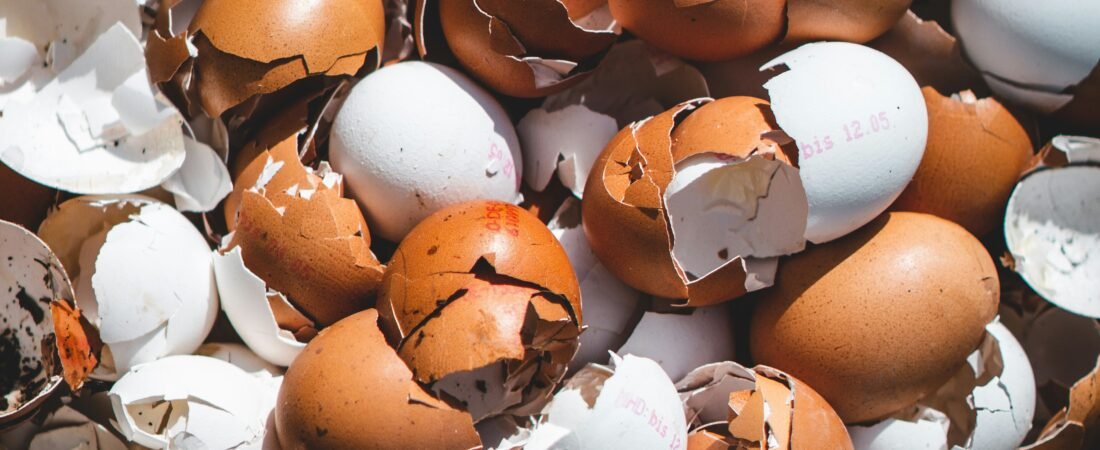 Abono gratis y potente: 3 formas de alimentar tus plantas con las sobras de la cocina