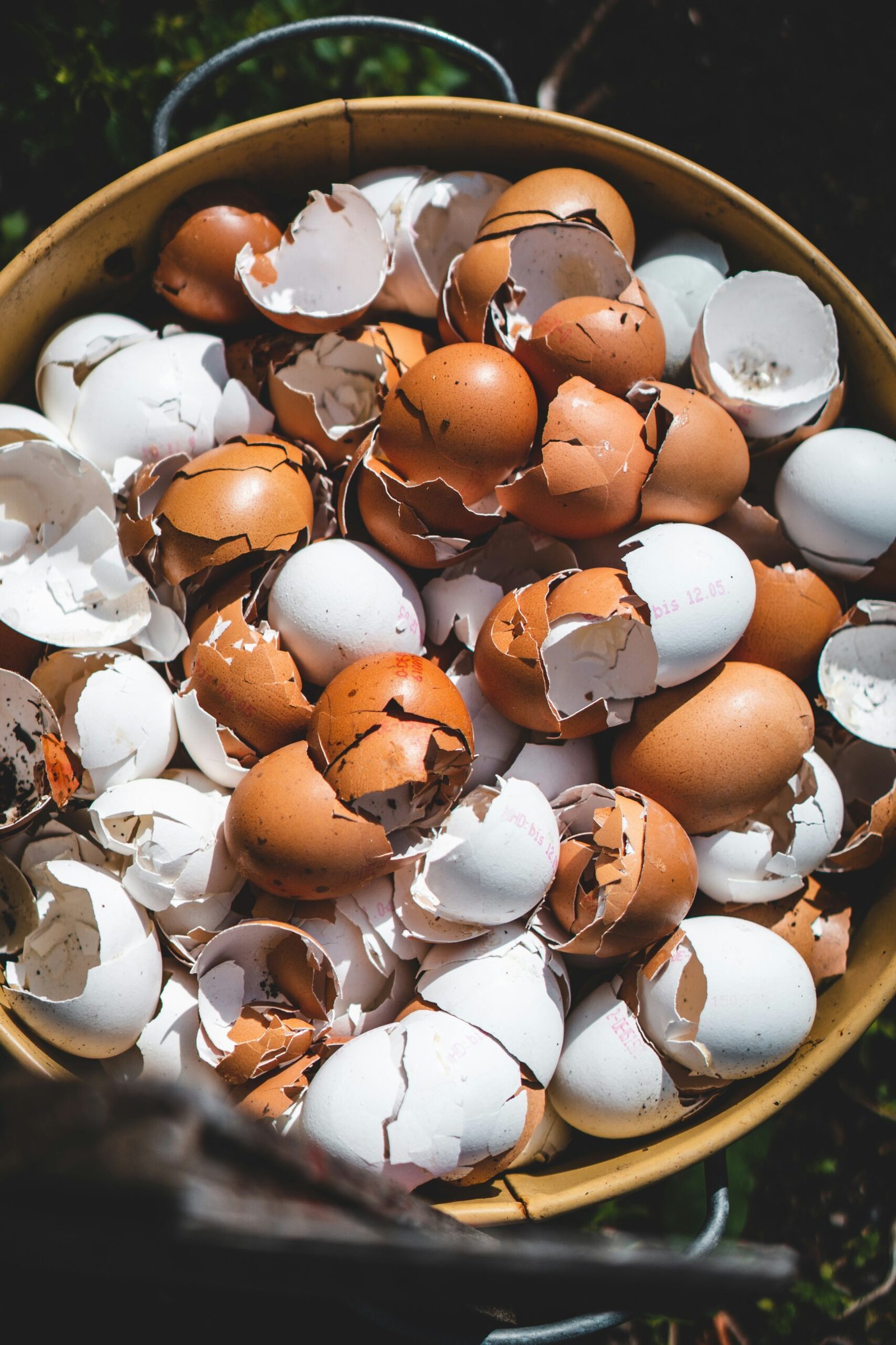 Abono gratis y potente: 3 formas de alimentar tus plantas con las sobras de la cocina