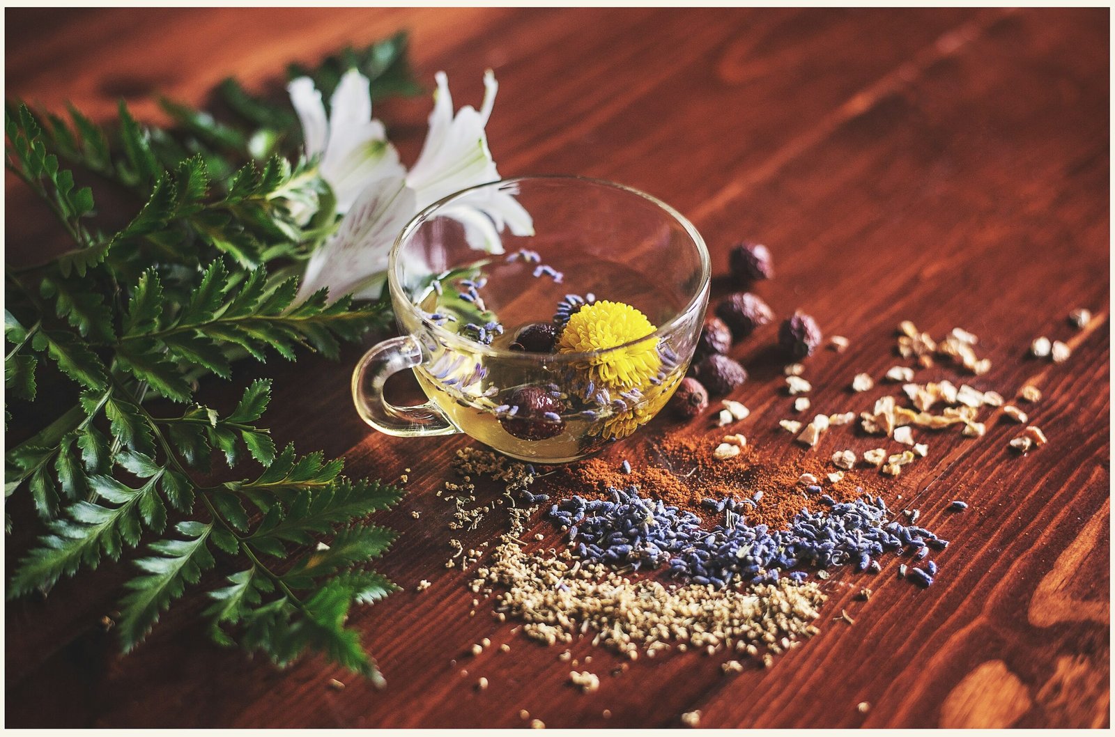 Qué plantar en tu primer huerto: 3 aromáticas inmortales para tu balcón
