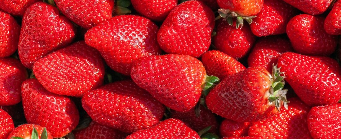 Cultivar fresas colgantes: El postre perfecto para espacios reducidos