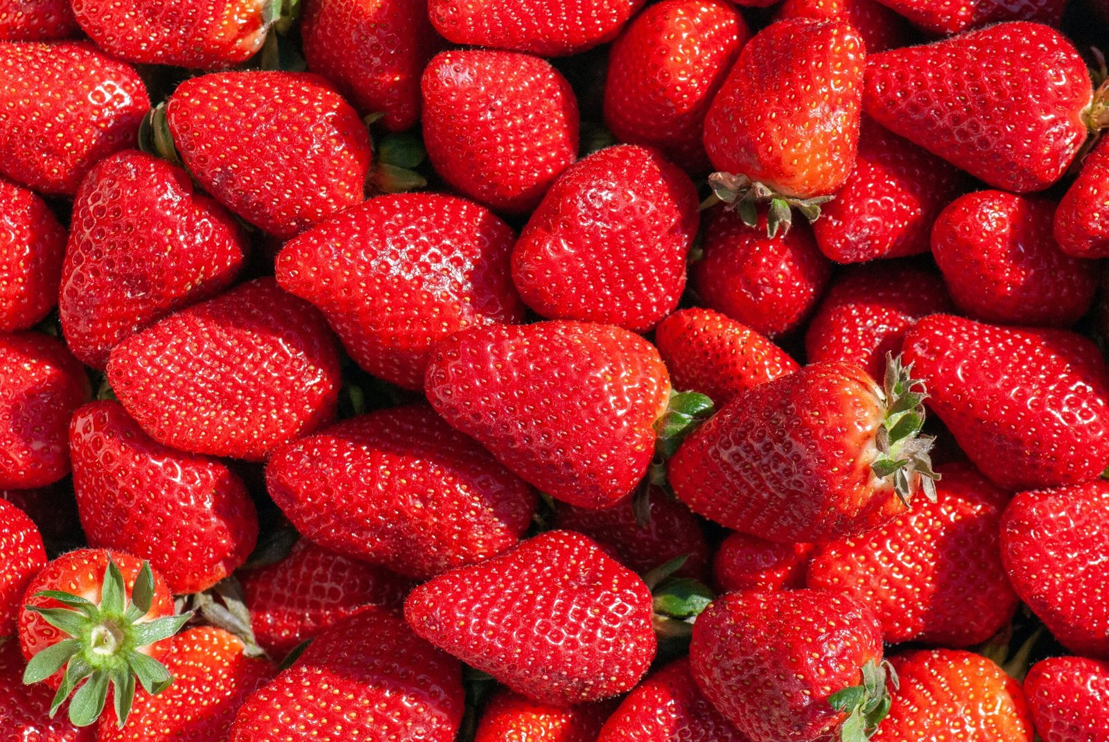 Cultivar fresas colgantes: El postre perfecto para espacios reducidos