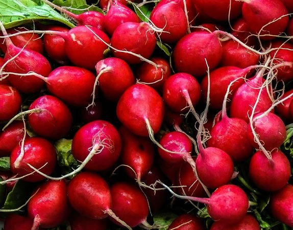 Los 5 cultivos más rápidos y rentables para un balcón pequeño