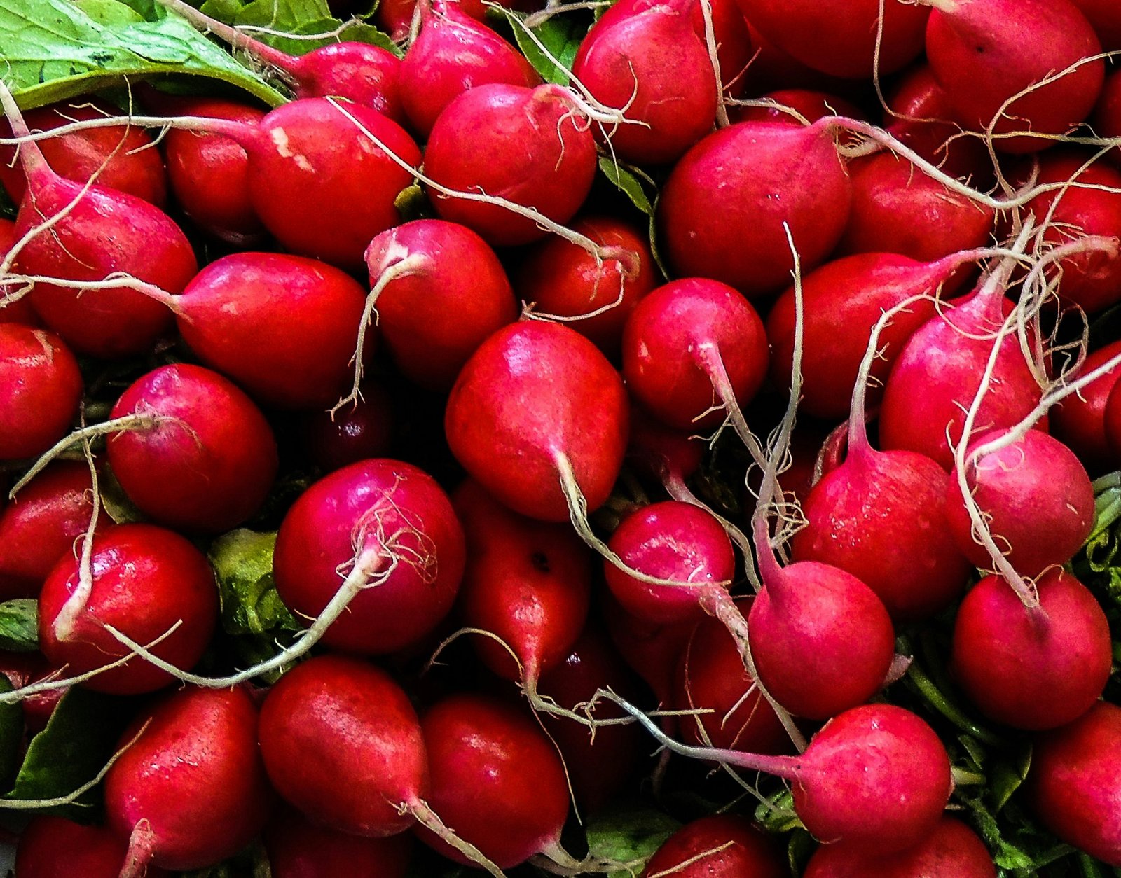 Los 5 cultivos más rápidos y rentables para un balcón pequeño