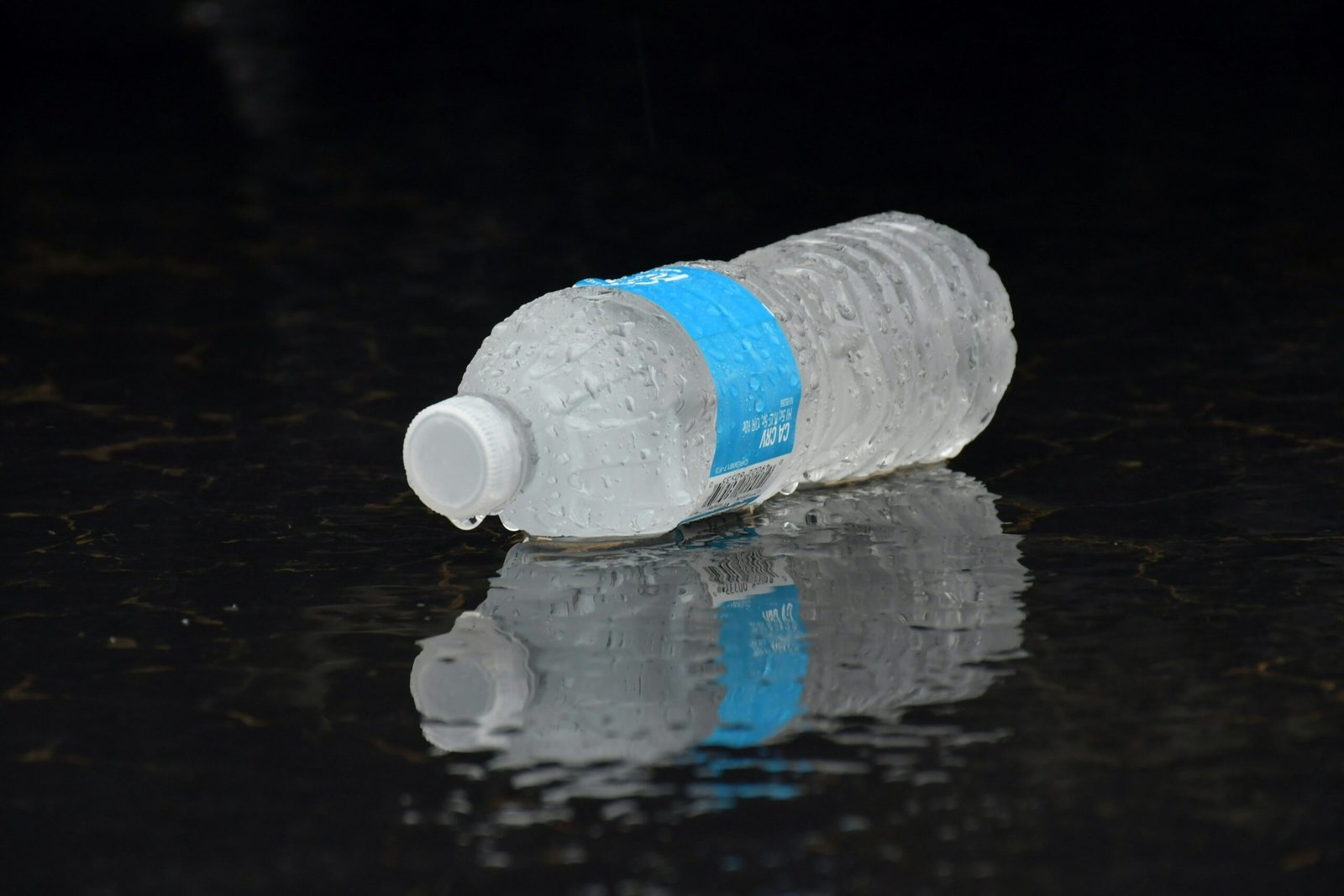 El truco de la botella: Cómo regar tus macetas si te vas de fin de semana